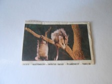 FIGURINA SAFARI N. 16 - ED