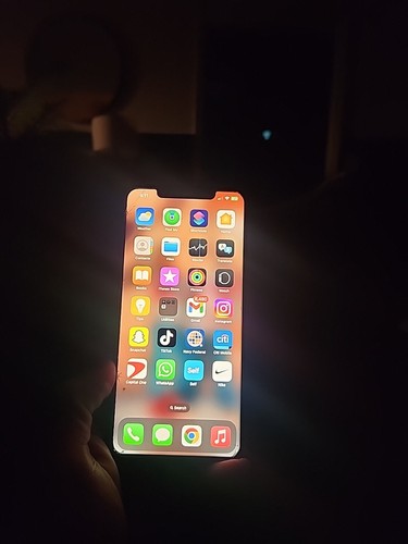 Iphone pro max - con, tik