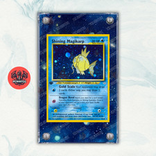 Pokémon Teca Magnetica