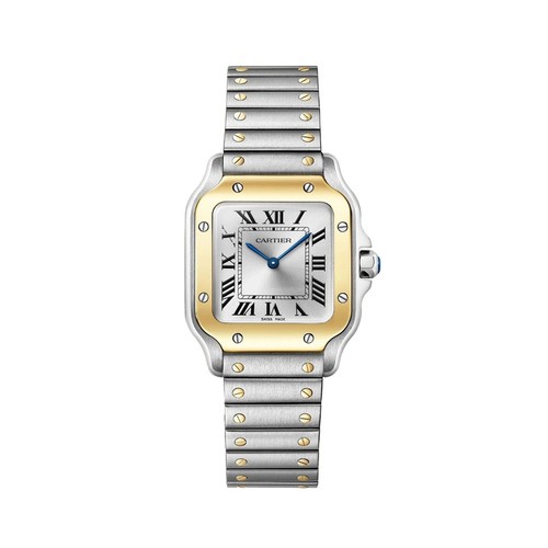 Cartier santos - cartier,