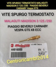 VITE SPURGO TERMOSTATO