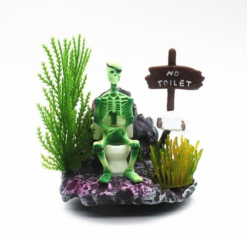 Scheletro toilette bianca - scheletro, su