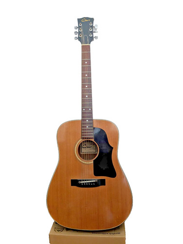 Chitarra acustica cimar - chitarra,