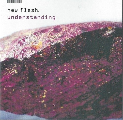 New flesh understanding - cd, big