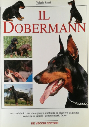 Dobermann valeria rossi - valeria,