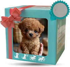 Nuovo Cane Robot 2025 Per