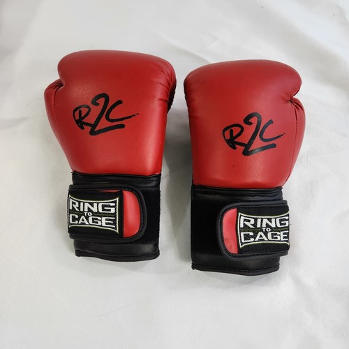 Guantoni boxe r2c ring to - guantoni,