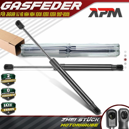 Gas cofano ammortizzatore - 2x,
