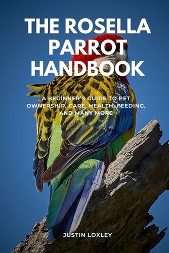 The rosella parrot - rosella, a