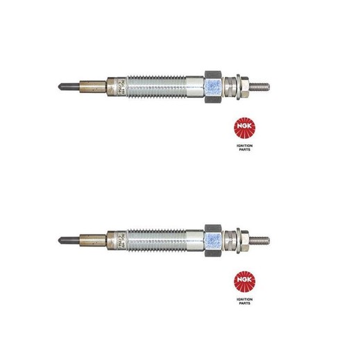 Ngk 90066 candelette per - 2x,