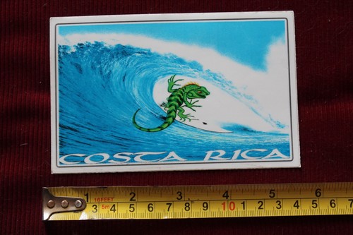 Adesivo surf lizard tube - lizard,