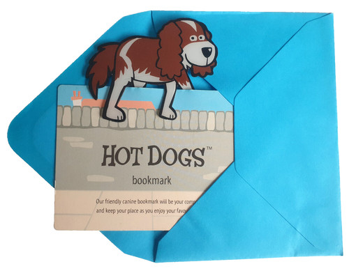 Cavalier king charles spaniel - cavalier,