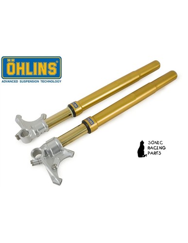 Fgrt 219 forcella - 219, ohlins