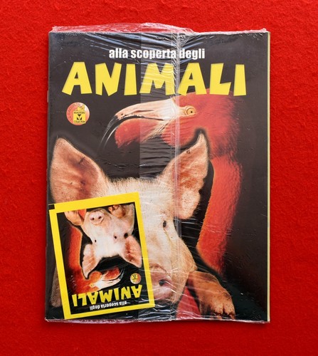 Alla scoperta degli animali - scoperta,