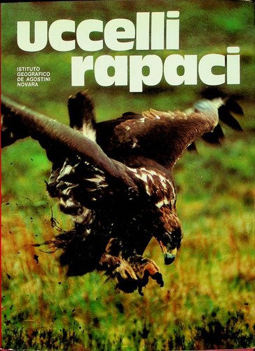 Uccelli rapaci meraviglie - uccelli,