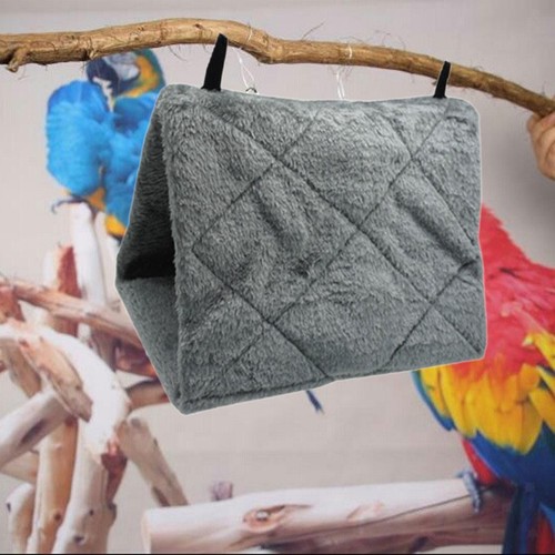 Nido uccello caldo - nido, d'uccello