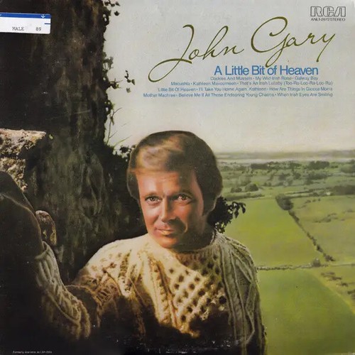 John gary little bit - john,