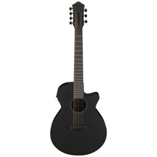 Ibanez AEG721-BOT Black Out