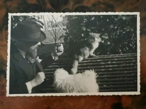 Foto cartolina ritratto - ritratto, il