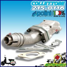 COLLETTORE 19/19 POLINI