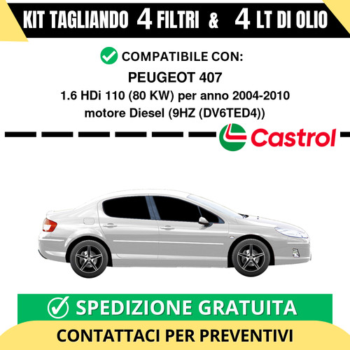 Tagliando per peugeot 407 - per,
