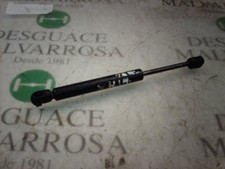 AMMORTIZZATORI BAULE / PORTE /