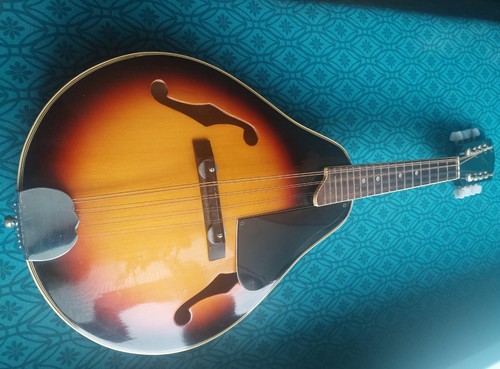 Mandolino corpo profondo