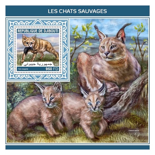 Francobolli wild cats sand cat - francobolli,