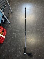 Bastone Black Diamond Trail