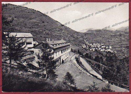 Imperia triora monesi - monesi,