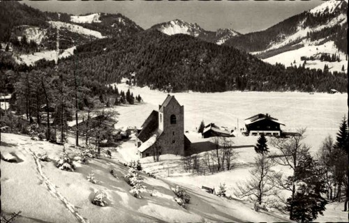 San bernardo baviera - san, 1969