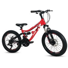 Bicicletta mountain bike - 20'',
