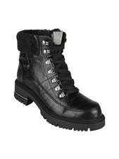 Nazareno Gabrielli Anfibi