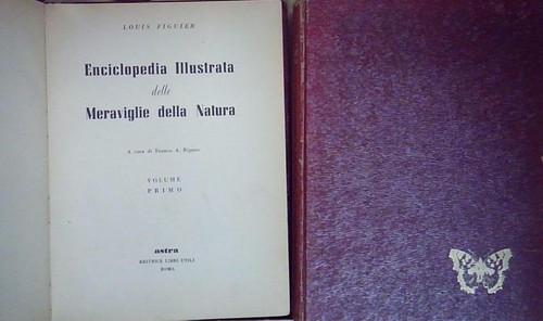 Figuier enciclopedia - figuier,