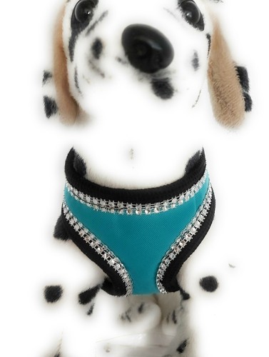 Pettorina per cani - , turchese
