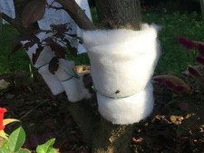 TRAPPOLA IN TESSUTO PER TRONCO ALBERI CATTURA INSETTI 20MT OVATTA ULIVO FUSTO