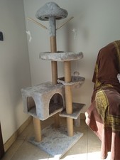 Tiragraffi per gatti mai Usato