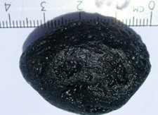 TEKTITE METEORITE GRANDE PEZZO