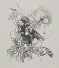 RENZO VESPIGNANI: Rara