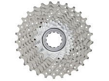 PIGNONI CAMAPGNOLO SUPER