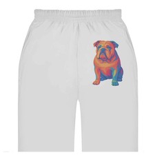 Pantaloni della tuta / joggers