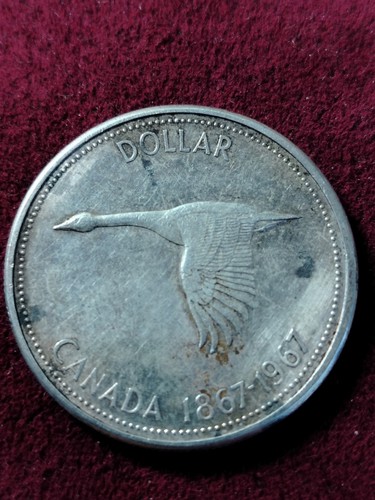 Dollaro canada regina - 1,