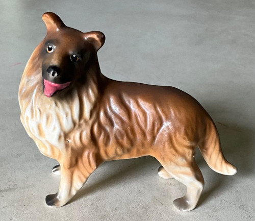 Collie anni giappone - collie,