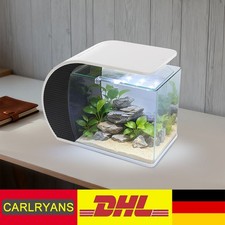 Piccolo Acquario in Vetro
