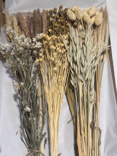 Fiori secchi otto - 70,