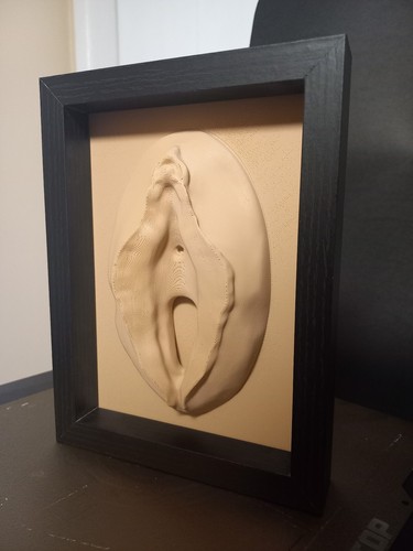 Vulva female anatomy decor - vulva, /