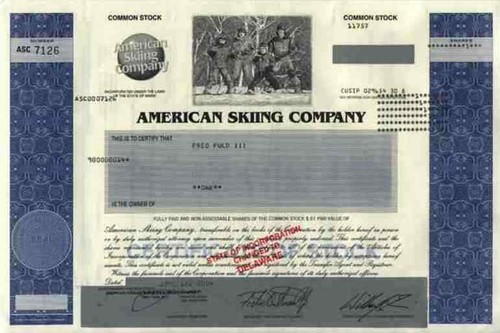 American skiing company 2004 - skiing,