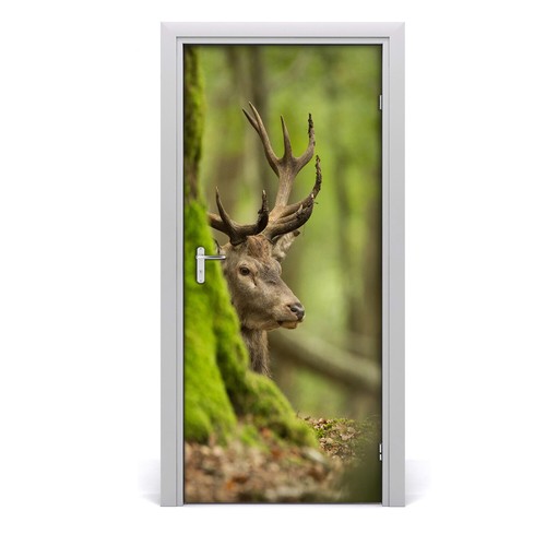 Adesivo porta tulup 95x205cm - adesivo,
