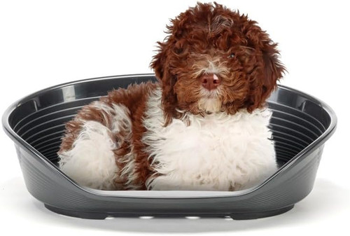 Cuccia per cani - e, gatti