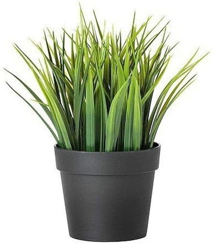 Pianta erba artificiale 20cm - erba,